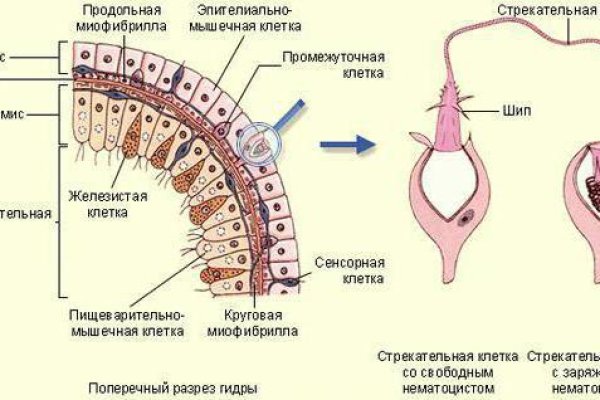 Кракен войти сегодня