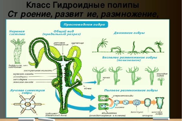 Кракен сайт упал