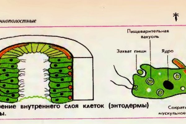 Почему не получается зайти на кракен