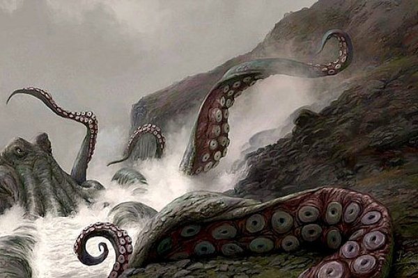 Kraken platform